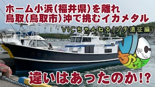 小浜スタイルで挑んだ鳥取沖(賀露港）イカメタル、違いはあったのか！？