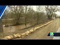 California storm coverage: Who steps in for levee breach assistance when there's flooding?