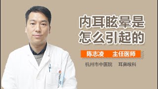 内耳眩晕的原因 内耳眩晕是怎么引起的 有来医生