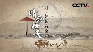 《晴雨梅天》第二集 稼穑农桑 | CCTV纪录