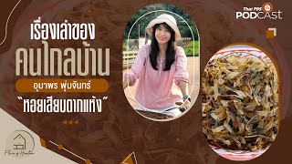 เรื่องเล่าของคนไกลบ้าน หอยเสียบตากแห้ง (เพชรบุรี) | Flavor of Hometown