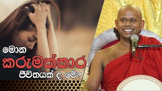 මොන කරුමක්කාර ජීවිතයක් ද මේ? | කෙටි ධර්ම කාරණා | අයං කාලෝ - this is time