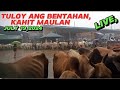 TULOY ANG BENTAHAN KAHIT MAULAN, JULY 19 2024#padregarciabatangas #murangbaka #cowprices #animals .