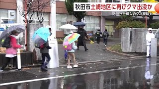 秋田市土崎地区に再び“クマ”出没か　スーパー侵入クマ駆除の夜、図書館駐車場で目撃　市中心部でも目撃 (24/12/03 19:00)