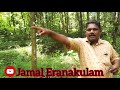 je09 jamaleranakulam 82 cent. 1 cent 58000 രൂപ.