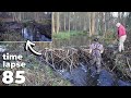 Manual Beaver Dam Removal No.85 - With My Dad - Time-Lapse Version