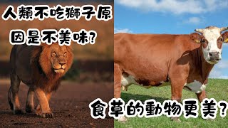 食草的動物比肉食動物更美味？人類都愛吃草食動物？｜冷知識｜陰謀論｜中文字幕