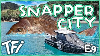 SNAPPER CITY / MARINE RESERVE w/ Charles Peters | Whitianga - New Zealand