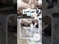 شرح كيف اغير علامة الاستريك الــوصـ˖𓍢ִִ໋𓇼⋆ــف شروحات اشتراك اكسبلور لايك احبكم السعوديه عدلو_الدعم