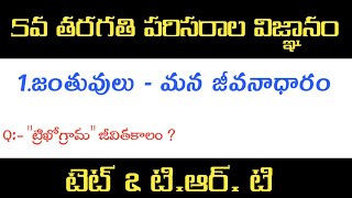 5th class Evs lesson||జంతువులు- మన జీవనాధారం||each one teach one