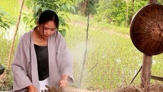 農村媽媽，隱居田園，每天研究美食成網紅，網友：比李子柒還厲害