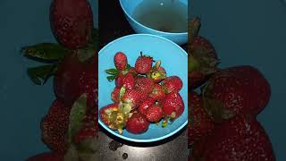 Kiska kiska favourite hai......? #vlogsbyanjalis#minivlog #shortvideos #youtube #strawberry #fruit