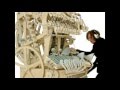 Wintergatan Marble Machine cover by Nophanix