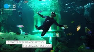 TODI TODAY: Freediving Freedom