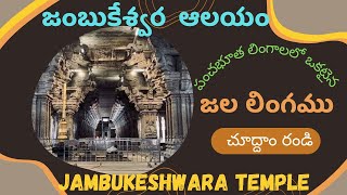 Jambukeshwara temple history in Telugu I Jambukeshwara Jala Lingam