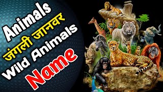 wild animals name || जंगली जानवरों के नाम || wild animals name hindi to english with pictures