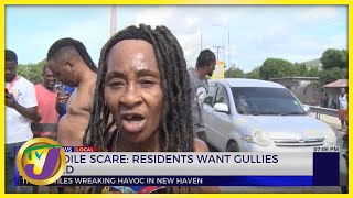 Crocodile Scare: Residents Want Gullies Cleaned | TVJ News