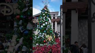 Disney Springs Christmas Stroll 🎄 #disney #disneychristmas #disneyholiday #disneysprings