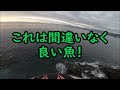 真鶴半島の地磯でメジナ釣り 初釣りはいつもの磯から。mancing mania japan