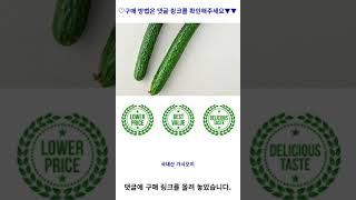 국내산 가시오이, 2입, 1봉 가성비 꿀맛 #shorts 내돈내산