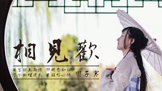 【華語金曲】周子寒-相見歡 #經典歌曲 #懷舊金曲 #動態歌詞 #Lyrics