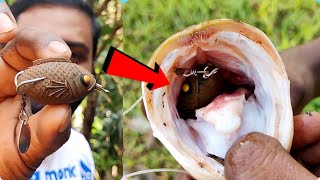 വരാല് പിടിക്കാൻ പുതിയ പടയാളി 🥰 New Proggy Warrior Frog | Snakehead Fishing Kerala Malayalam