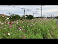 信越本線さつき野駅から荻川駅間レッドサンダー通過