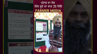 apple variety new : ਗਰਮੀਆਂ ਦੇ ਮੌਸਮ ਵਿੱਚ ਵੀ ਤਰੋ-ਤਾਜਾ ਸੇਬ ਖਾਓ..गर्मियों में भी ताजा सेब खाएं