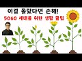 이걸 몰랐다면 손해 5060 세대를 위한 생활 꿀팁입니다