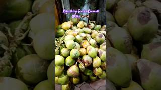 Refreshing Tender Coconut Water🥥#shorts#coconut #coconutwater#refreshing #drink#shortsyoutube#viral