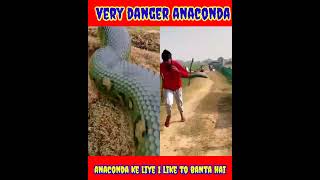 Anaconda Snake P2 #python #snake #snakes #nagin #anaconda #bigsnake #anacondasnake #shorts #trending