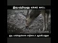 நமது வளர்ச்சி