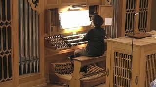 Lynne Davis plays Vierne  |  Toccata for organ