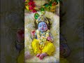 hare ❥ krishna ✨💝🦚 littilekrishna krishna short