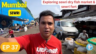 EP - 37 Sewri | Sewri Dry Fish Market | Sewri Fort Mumbai | Sewri Mumbai