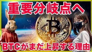 【BTC SOL分析】ハイテク株AIが売られビットコインが上昇する理由と高まるリスクについて共有