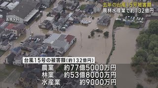 「1983年以降最大の被害」…去年9月の台風15号、農林水産業の被害は130億円超　静岡県