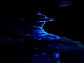 Bioluminescent Plankton Beach