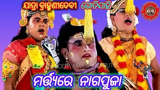 ମର୍ତ୍ତ୍ୟରେ ନାଗପୁଜା MATYARE NAGAPUJA  JATRYA BRAMHANIDEBI  GOTISAHI @amaodiamasanskruti ଭାଗ-୧୬