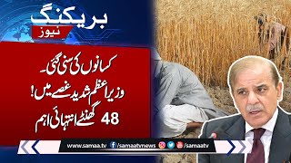 Breaking News: PM Shehbaz Sharif Strict Action Against Wheat Crisis in Pakistan | Samaa TV