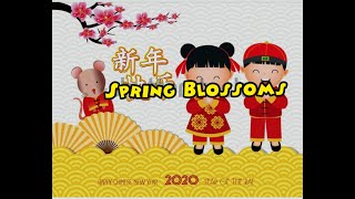 Spring Blossoms  迎春花 line dance ( BTBC)