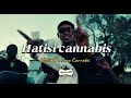 Volts JT x Sane Cannabis lyrics lyrical video 