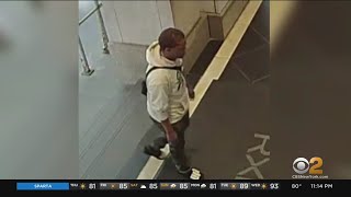 Man attempts to steal dog from owner at Manhattan office building