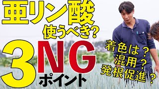 亜リン酸は限られた場所でこそ発揮する威力【農業 収益UP】