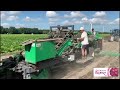 peony root harvesting 2022 groot u0026 groot peonies