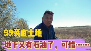 地里又有石油了！可惜不能开发！99英亩种一半慌一半，就是这么任性！