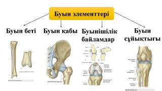 Сүйектердің байланысу типтері