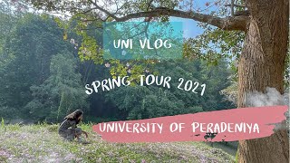 Blooming season at University of Peradeniya 🌸 1080p HD University tour