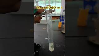 Egg Albumin- Protein Test ||( viral video) Biuret Test || NaOH + CuSO4 || #science #experiment