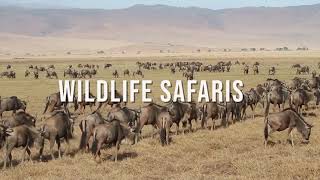 Discover Kenya - Kenya Wild Parks